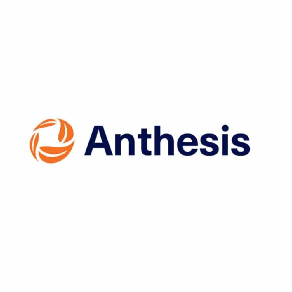 Anthesis Consulting