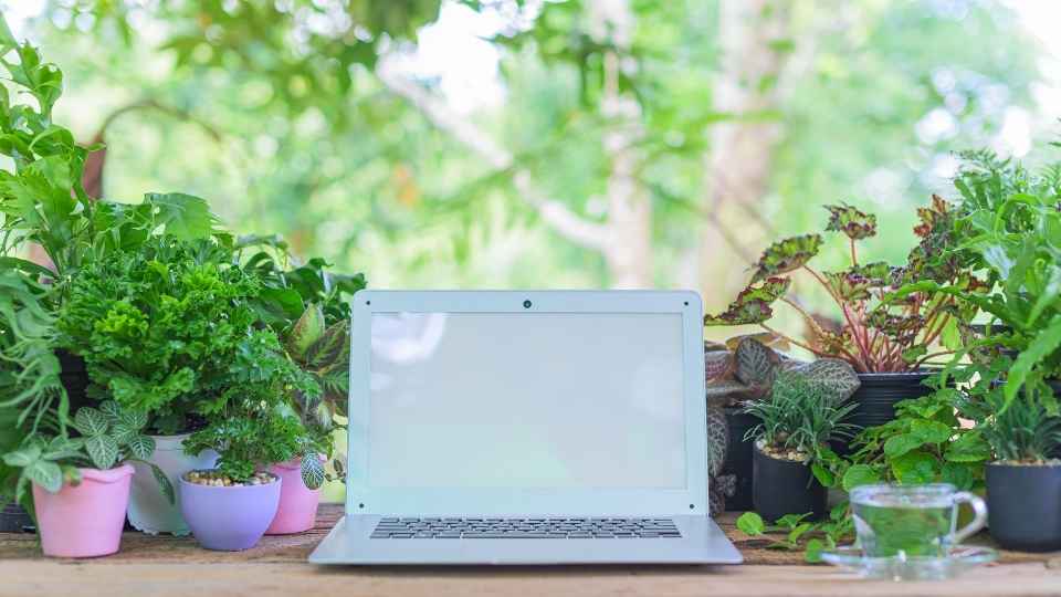 A laptop sits on a table surrounded by greenery