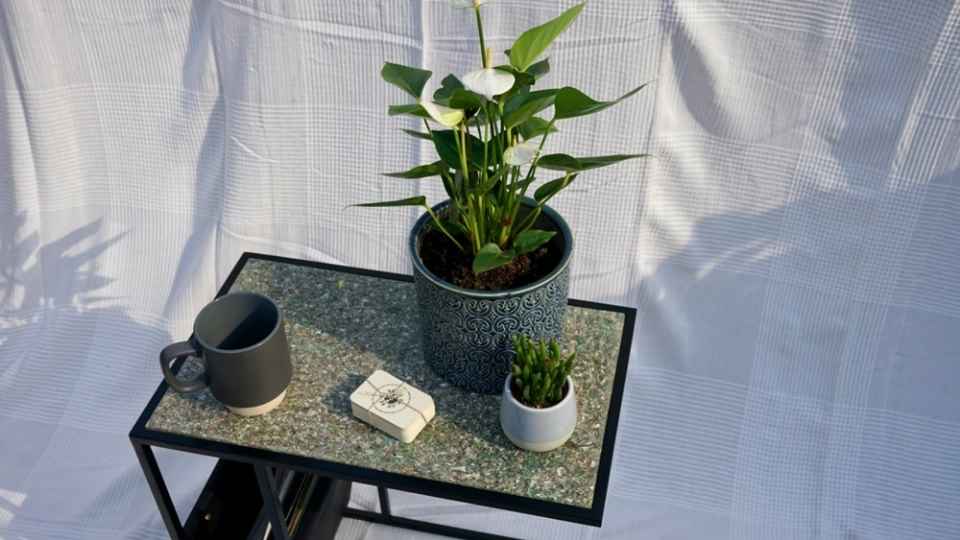 Revive Innovations table with two small plants and a cup on top