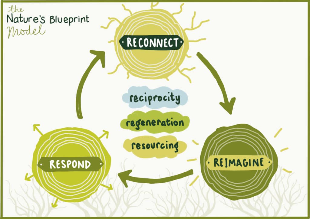 infographic showing a cycle of reconnect, reimagine, respond in Christina's Nature Blueprint