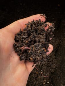 Hand holding Generation Soil compost