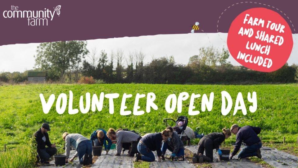 Promotional image for a 'volunteer open day' at a community farm