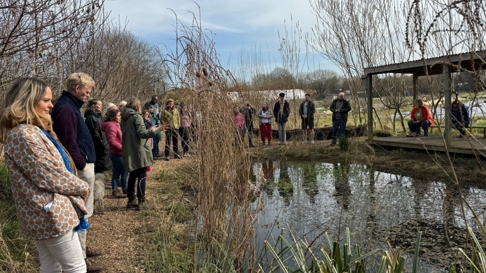 A group of people standing in single file around a pond in the outdoors.