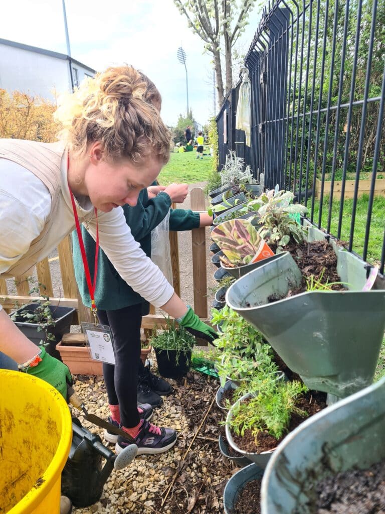 Team Future Leap at Brunel Field Primary School's Gardening Club planting herbs